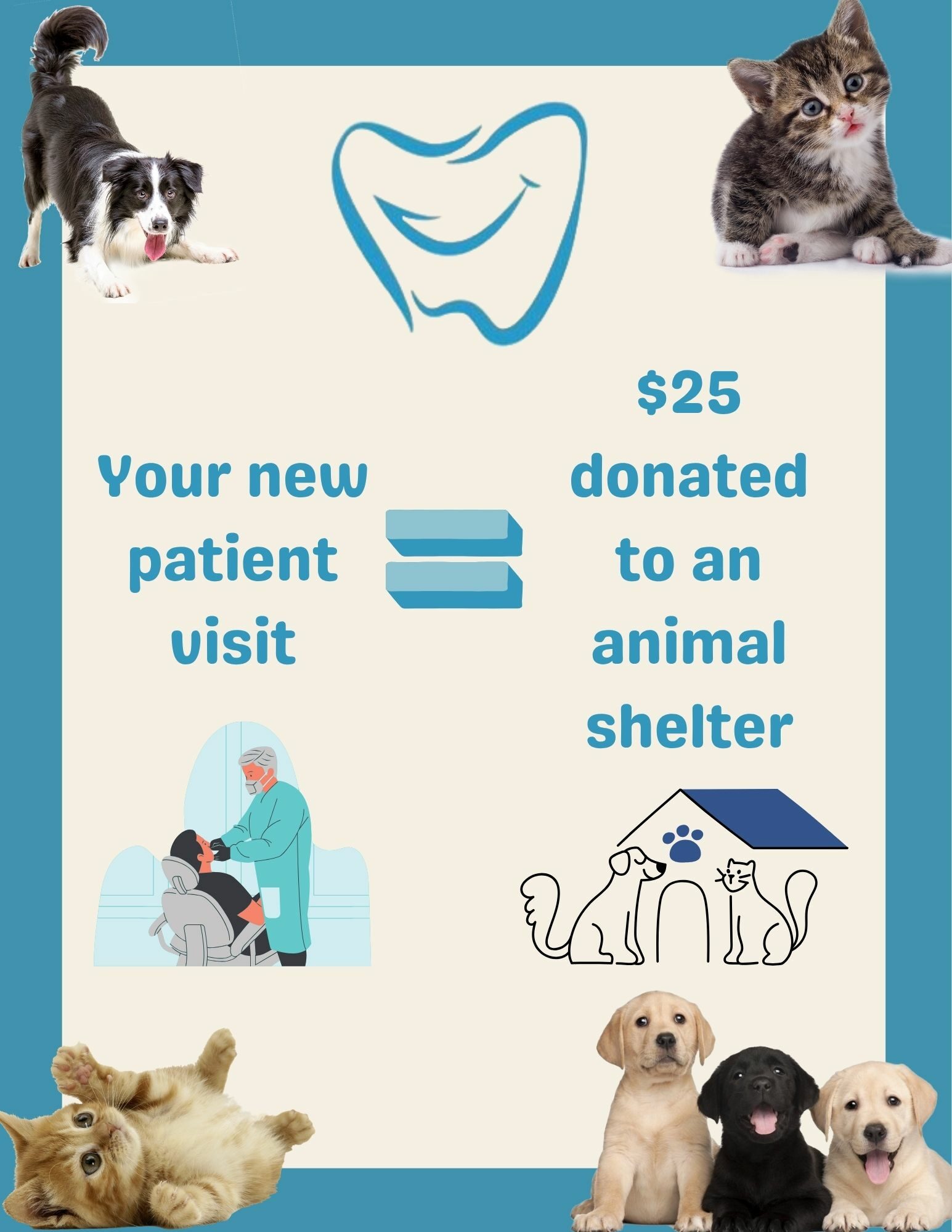 Animal Shelter